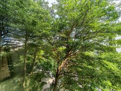 Kerrisdale (D8), Condominium #572603811